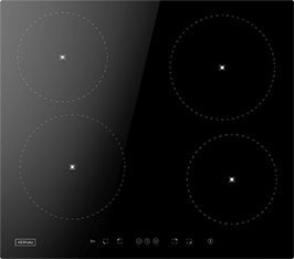 Induktionsfeld Reparatur Trier